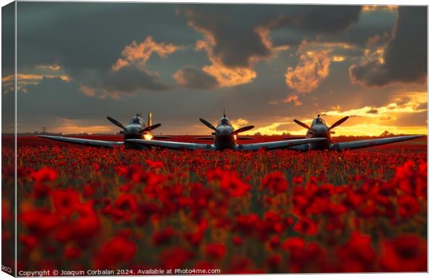 Two classic airplanes from the Battle of Britain Memorial sitting in a field filled with vibrant poppy Canvas Print by Joaquin Corbalan