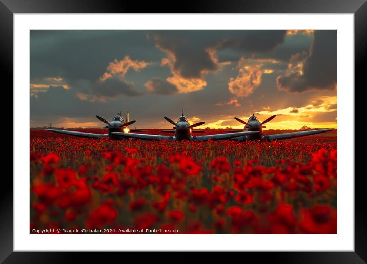Two classic airplanes from the Battle of Britain Memorial sitting in a field filled with vibrant poppy Framed Mounted Print by Joaquin Corbalan