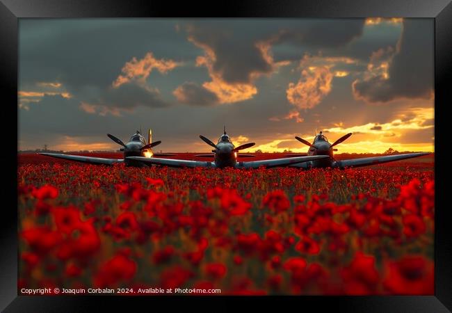 Two classic airplanes from the Battle of Britain Memorial sitting in a field filled with vibrant poppy Framed Print by Joaquin Corbalan