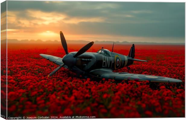 A classic aircraft peacefully sits in a vibrant field of red flowers at the Battle of Britain Memorial. Canvas Print by Joaquin Corbalan