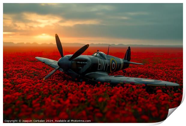 A classic aircraft peacefully sits in a vibrant field of red flowers at the Battle of Britain Memorial. Print by Joaquin Corbalan