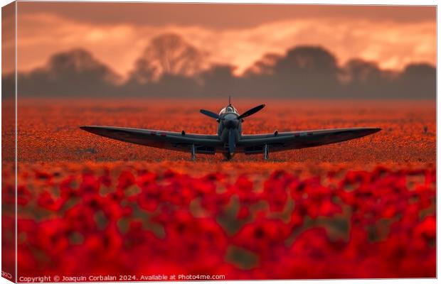 A small airplane sits among a vibrant field of red flowers. Canvas Print by Joaquin Corbalan