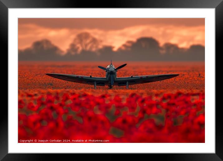 A small airplane sits among a vibrant field of red flowers. Framed Mounted Print by Joaquin Corbalan