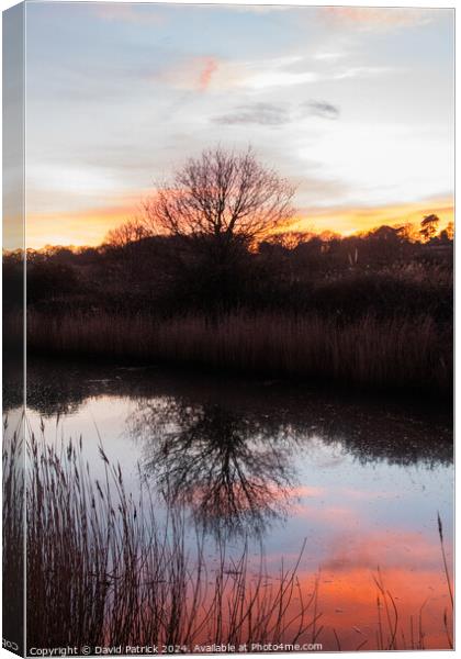 Reflections Canvas Print by David Patrick