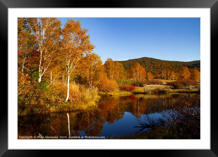 Autumn Colours Framed Mounted Print by Philip Alexander