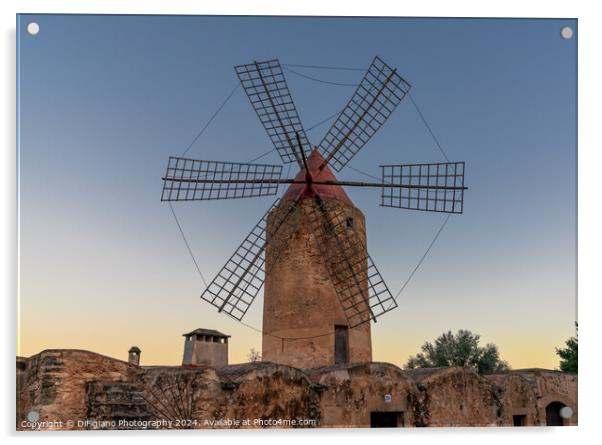 Algaida Windmill Acrylic by DiFigiano Photography