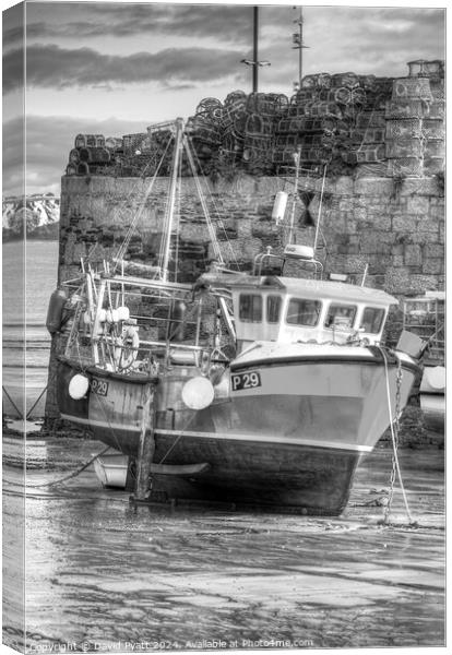 Fishing Boat In Newquay Harbour Canvas Print by David Pyatt