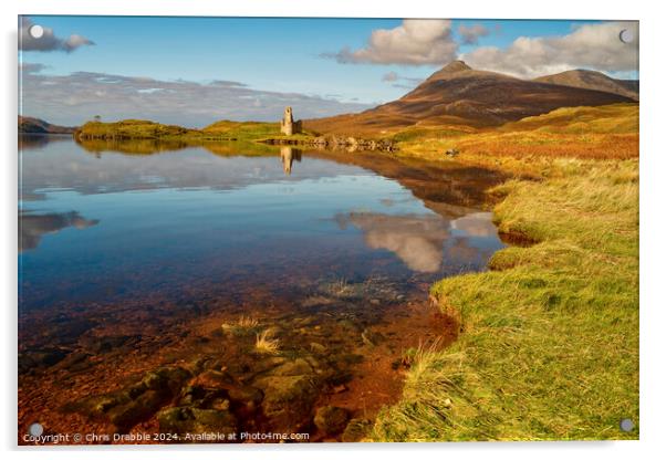 Ardvreck Castle reflected in Loch Assynt Acrylic by Chris Drabble