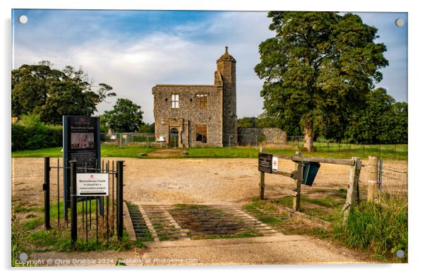 Baconsthorpe Castle Gate House Acrylic by Chris Drabble