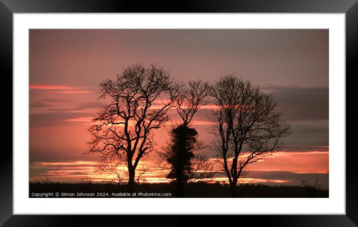 Plant tree Framed Mounted Print by Simon Johnson