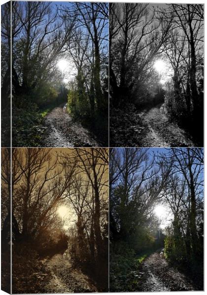 Path to sunlight montage Canvas Print by Paul Boizot