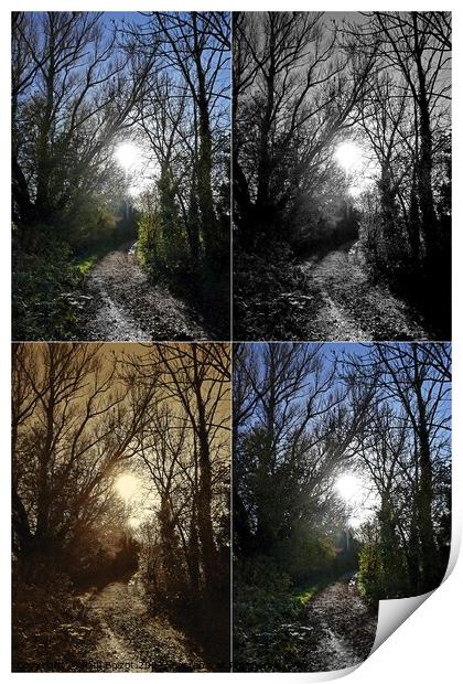 Path to sunlight montage Print by Paul Boizot