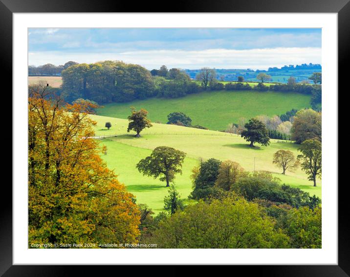 Landscape Overview near Chard Somerset Framed Mounted Print by Susie Peek