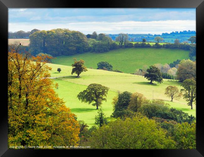 Landscape Overview near Chard Somerset Framed Print by Susie Peek