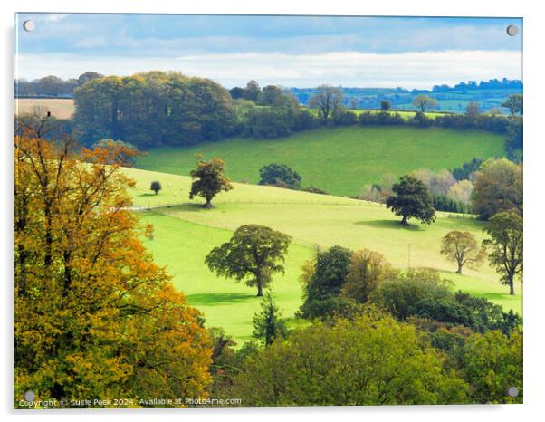 Landscape Overview near Chard Somerset Acrylic by Susie Peek