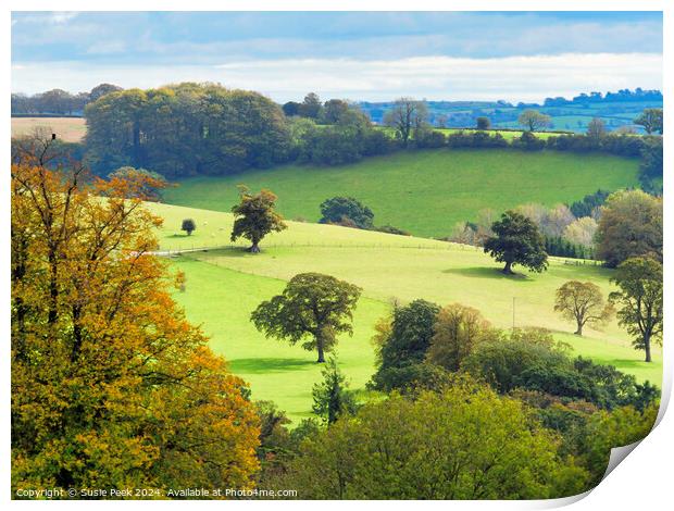 Landscape Overview near Chard Somerset Print by Susie Peek
