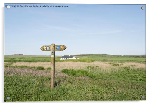 Wales Coastal path directional wooden sign. Location is Angelsey.  Acrylic by Gary Parker