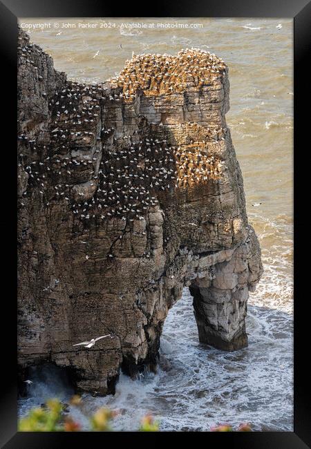 Bempton Cliffs Outcrop Framed Print by John Parker