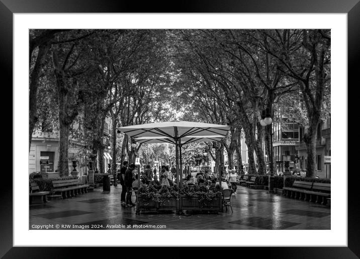 Palma Paseo Del Borne Framed Mounted Print by RJW Images