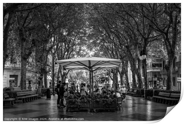 Palma Paseo Del Borne Print by RJW Images