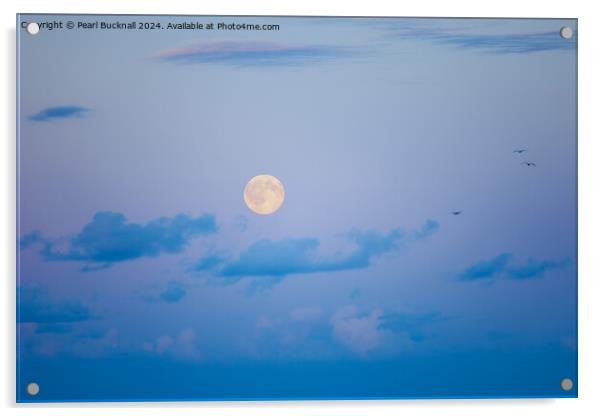 Full Moon in the Sky at Dusk Acrylic by Pearl Bucknall