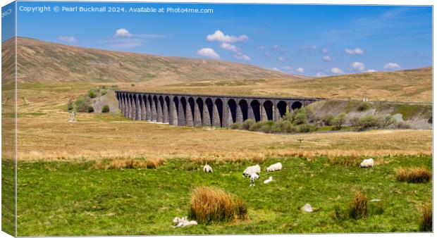 Sheep by Ribblehead Viaduct Yorkshire Dales Canvas Print by Pearl Bucknall