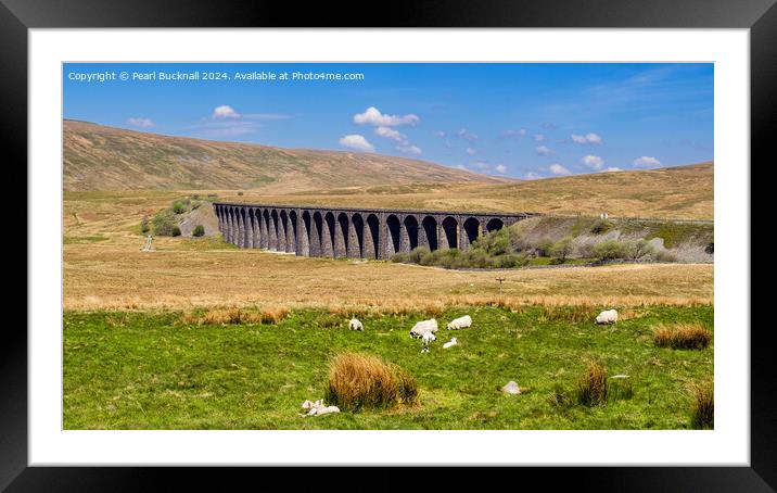 Sheep by Ribblehead Viaduct Yorkshire Dales Framed Mounted Print by Pearl Bucknall