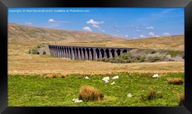 Sheep by Ribblehead Viaduct Yorkshire Dales Framed Print by Pearl Bucknall