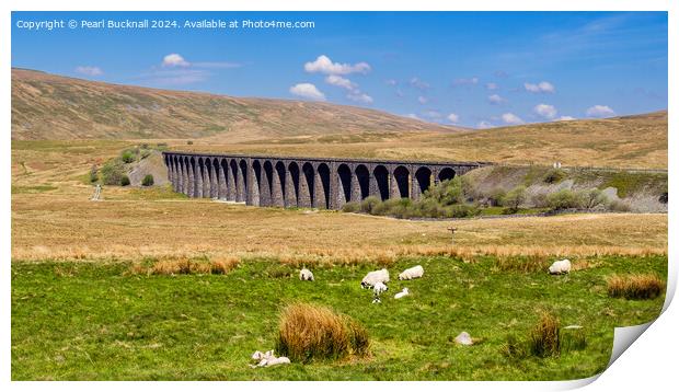Sheep by Ribblehead Viaduct Yorkshire Dales Print by Pearl Bucknall