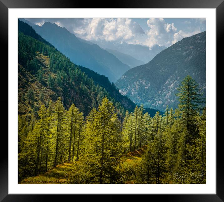 Forest with Blue Mountains in the Background, Switerland. Framed Mounted Print by Maggie Bajada