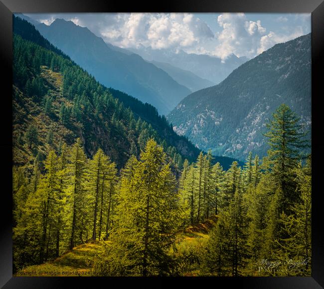 Forest with Blue Mountains in the Background, Switerland. Framed Print by Maggie Bajada