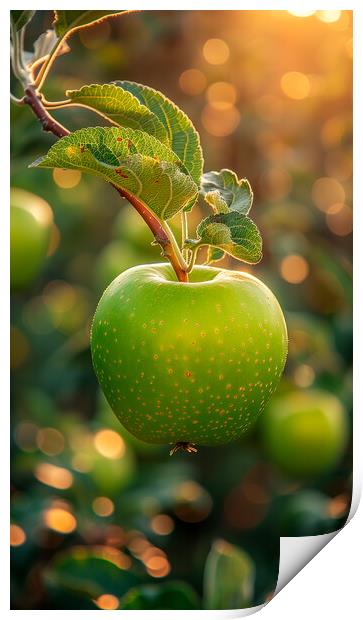 Green Apple Print by T2 