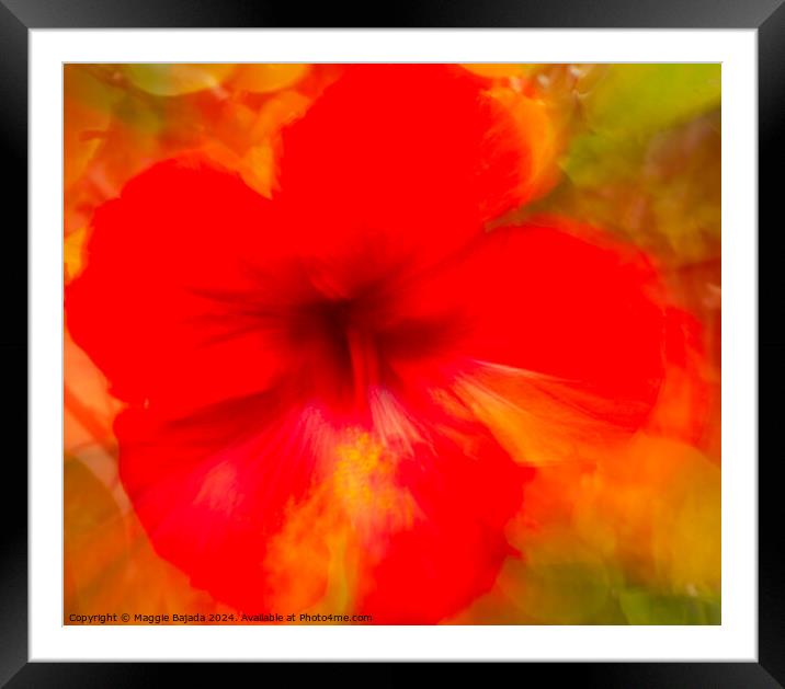 Red Hibiscus flower, Movement of Camera (ICM) Framed Mounted Print by Maggie Bajada
