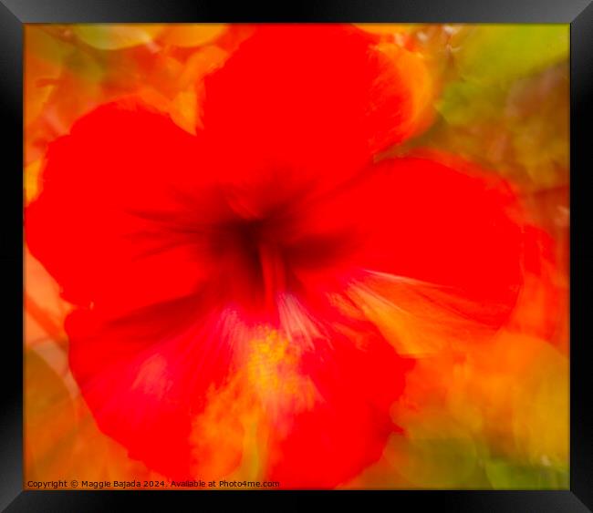 Red Hibiscus flower, Movement of Camera (ICM) Framed Print by Maggie Bajada