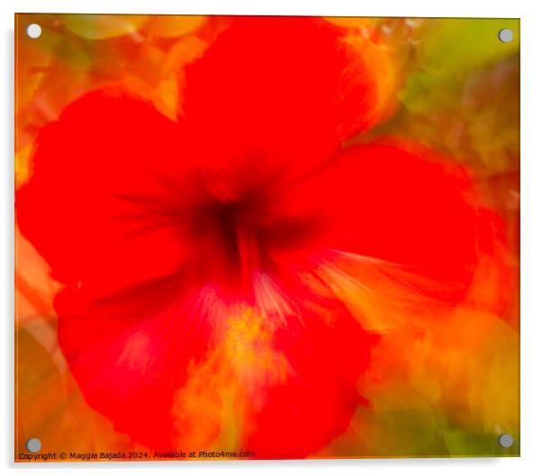 Red Hibiscus flower, Movement of Camera (ICM) Acrylic by Maggie Bajada