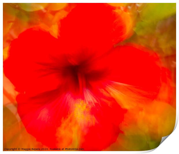 Red Hibiscus flower, Movement of Camera (ICM) Print by Maggie Bajada