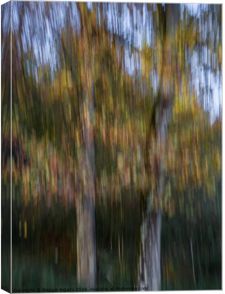 Autumn Trees by Movement of Camera (ICM) Canvas Print by Maggie Bajada
