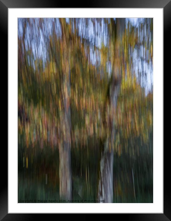 Autumn Trees by Movement of Camera (ICM) Framed Mounted Print by Maggie Bajada
