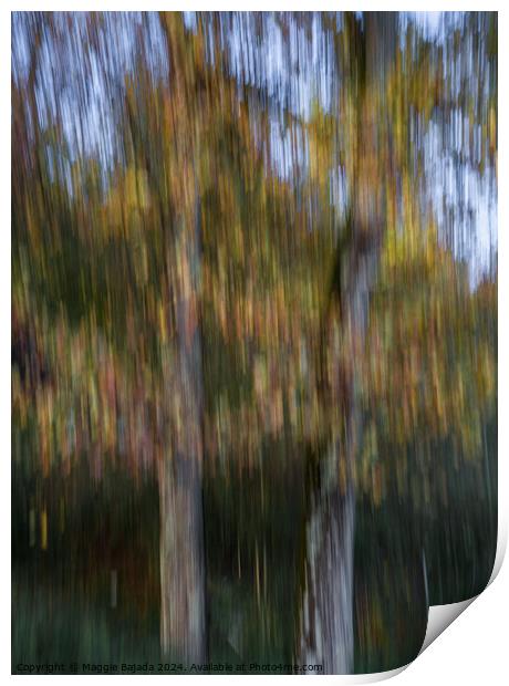 Autumn Trees by Movement of Camera (ICM) Print by Maggie Bajada