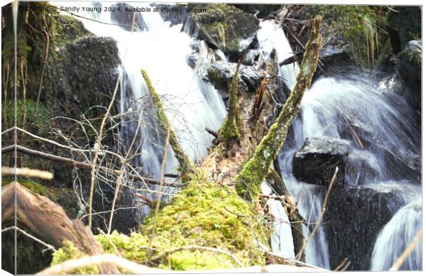 Birks Of Aberfeldy Chaos on The Waterfall Canvas Print by Sandy Young