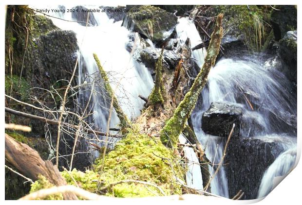 Birks Of Aberfeldy Chaos on The Waterfall Print by Sandy Young