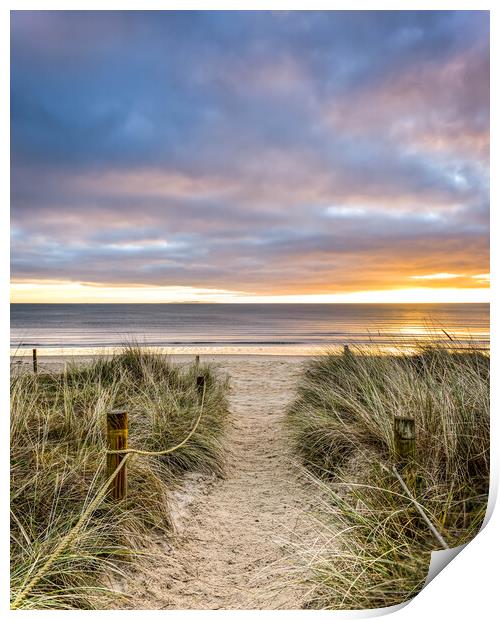Studland beach sunrise  Print by Shaun Jacobs