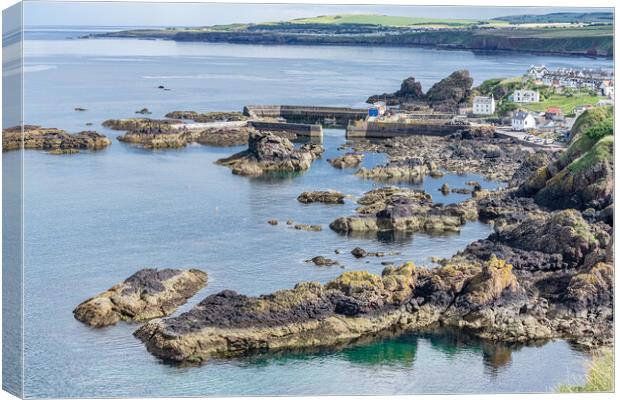 St Abbs, Scottish Borders, Scotland Canvas Print by Dave Collins