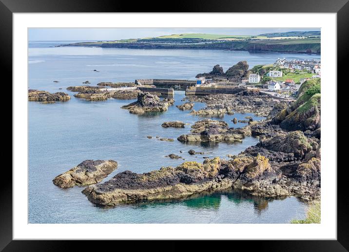 St Abbs, Scottish Borders, Scotland Framed Mounted Print by Dave Collins