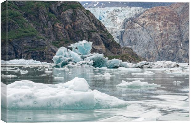 Gowlers (small icebergs) floating in the sea with North Sawyer Glacier in the distance, Tracy Arm Inlet, Alaska, USA Canvas Print by Dave Collins
