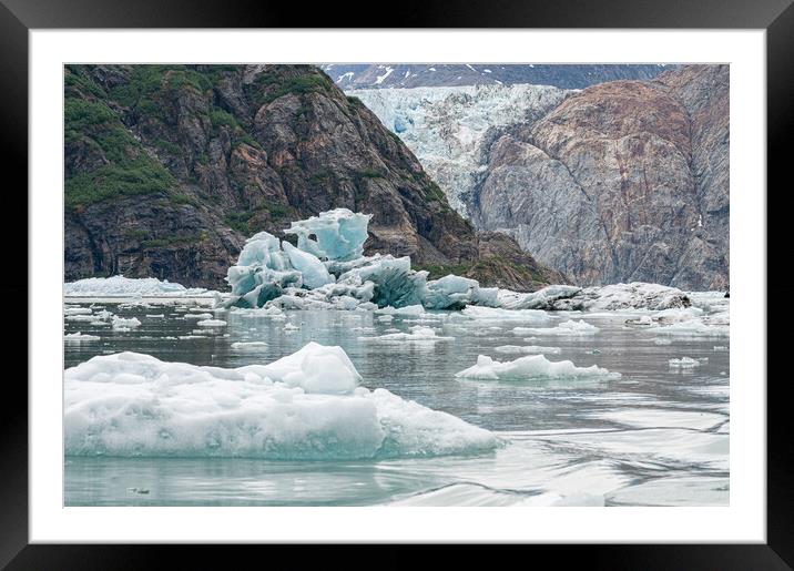 Gowlers (small icebergs) floating in the sea with North Sawyer Glacier in the distance, Tracy Arm Inlet, Alaska, USA Framed Mounted Print by Dave Collins