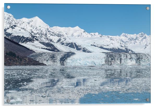 Harvard Tidewater Glacier at the end of College Fjord, Alaska, USA Acrylic by Dave Collins