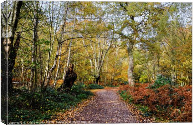 Epping Forest Autumn Walk Canvas Print by Diana Mower