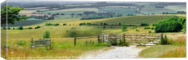 The Trundle View Panoramic Canvas Print by Diana Mower