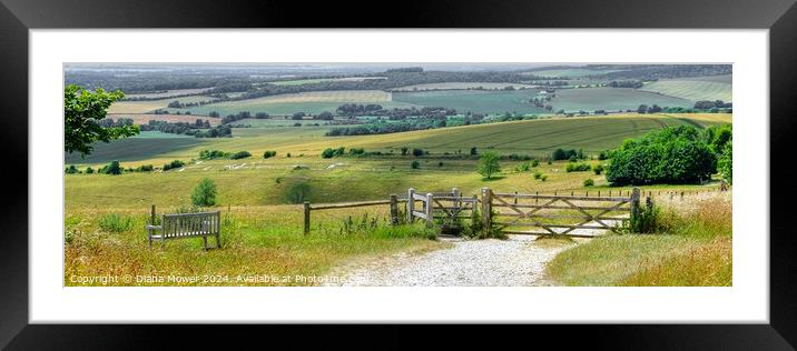 The Trundle View Panoramic Framed Mounted Print by Diana Mower